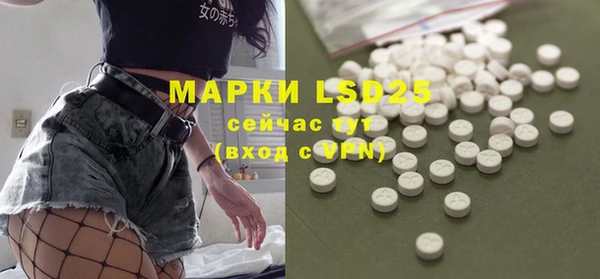 шишки Баксан