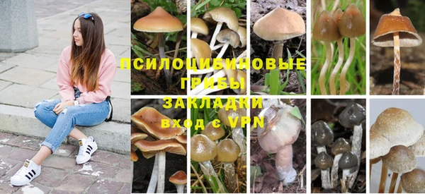 2c-b Балахна