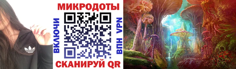 Псилоцибиновые грибы прущие грибы  Купить закладки  Кизел 